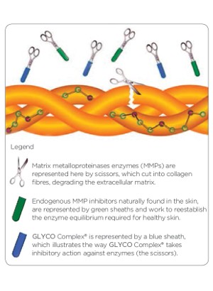 Glycosaminoglycans Complex