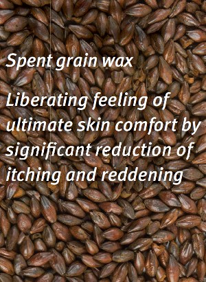 Ezerwax™