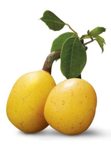 Jojoba Oil (Yellow - Deodorized)