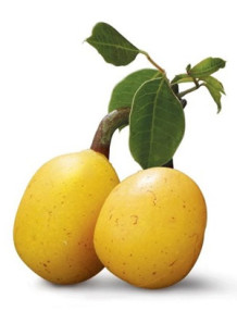  Marula Oil (Cold-Pressed, South Africa)