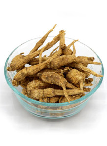  American Ginseng Extract (10% Ginsenoside)