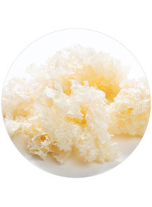  Snow Mushroom Hyaluron (Tremella Fuciformis Extract Powder)