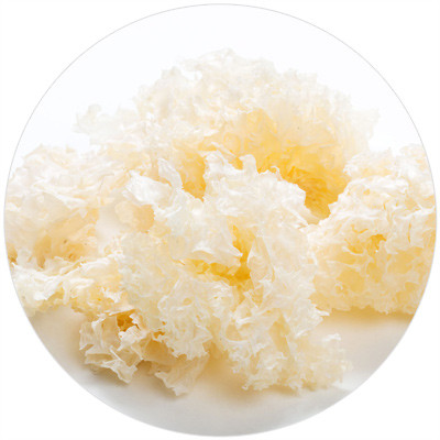 Snow Mushroom Hyaluron (Tremella Fuciformis Extract Powder)