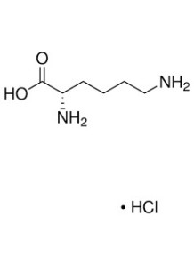  L-Lysine HCl