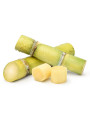 SugarClean™ (Sugarcane Extract Deodorizer)