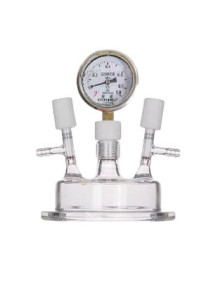  Reaction Cap with pressure gauge(temperature measurement and double thimble valve)