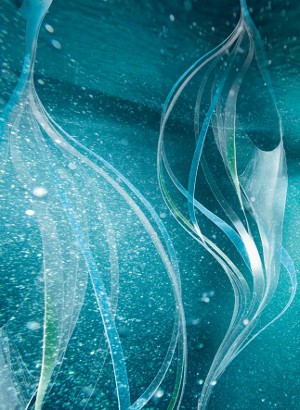 Marine Plankton (Lifting, Tightening)