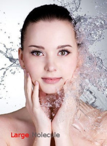 Hyaluronic Acid (Large Molecule)