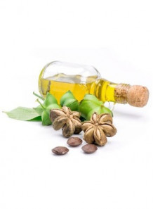 Sacha inchi Oil (Virgin Organic) น้ำมันถั่วอินคา