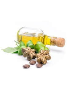  Sacha inchi Oil (Virgin) Inca nut oil