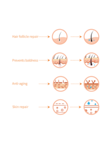  Micro SRHC III (recombinant humanized collagen type III)