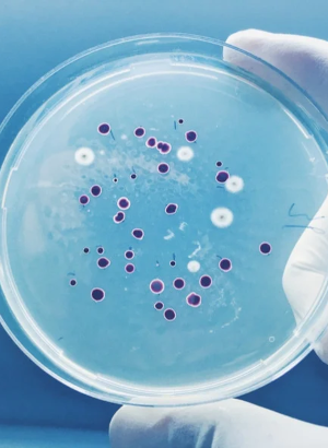 Mild Preserved™ COS (pH 2-8, Broad Spectrum, No-Odor)