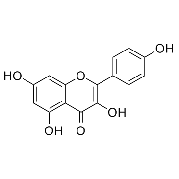 Micromul™ Kaempferol (Microemulsion Kaempferol)