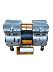 Oil-Free Pump (2-pole motor...