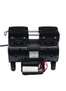 Oil-Free Pump (Black motor...