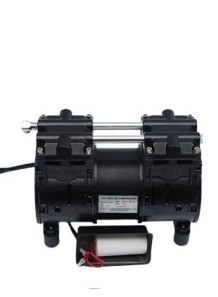 Oil-Free Pump (Black motor...