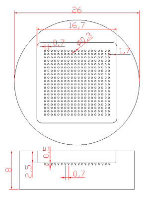PDMS Microneedle Mold