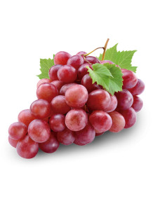  Grape Flavor (Oil-Soluble, Triacetin Base)