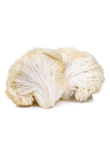 Hericium Flavor...