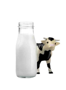 Cow Milk Flavor (Oil...