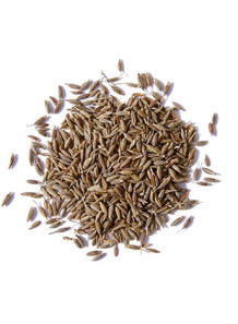 Cumin Spice Flavor (Oil...