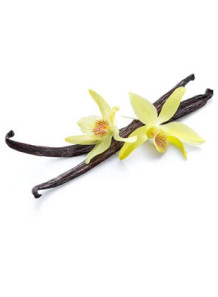 Vanilla Flavor (Water & Oil...