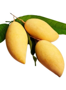  Golden Mango Flavor (Water & Oil Soluble, Propylene Glycol Base)