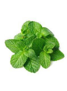  Green Mint Flavor (Water & Oil Soluble, Propylene Glycol Base)