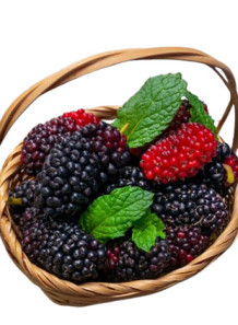 Ripe Mulberry Flavor (Water...