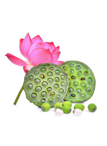 Lotus Seed Flavor (Water &...