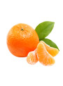 Fresh Orange Flavor (Water Soluble Powder)