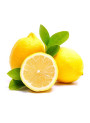 Fresh Lemon Extract Flavor (Water Soluble Powder)