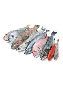 Fish Flavor (Water Soluble...