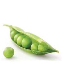  Pisum Sativum Extract (Pea-Ex™)