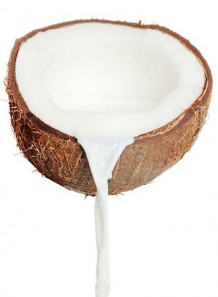 Coconut Fruit Powder
