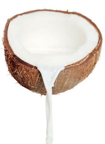  Coconut Fruit Powder