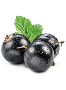 Original Blackcurrant...