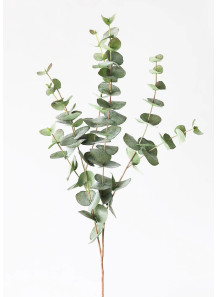 Eucalyptus Flavor (Water...