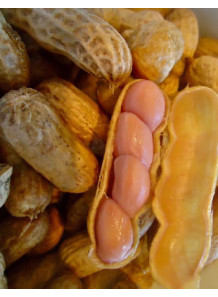 Peanut Flavor (Water-Soluble)