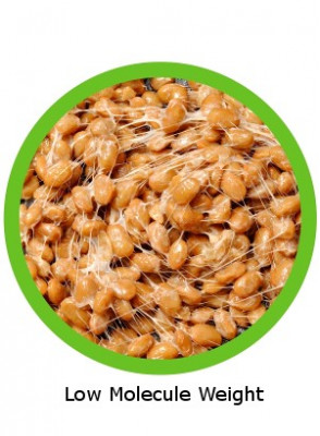 gamma-Polyglutamic acid (Low Molecule Weight)