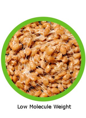 gamma-Polyglutamic acid (Low Molecule Weight)