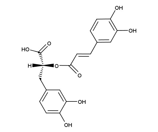 Pure-Rosmarinic80™ (Rosemary Extract, Rosmarinic Acid 80%)