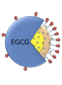 ActiveRelease™ EGCG...