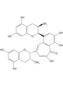 (-)-epicatechin gallate...