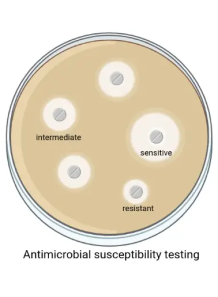  Anti-microbial test for Staphylococcus aureus