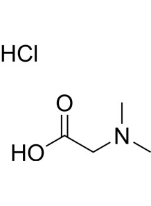 N,N-Dimethylglycine (Base)