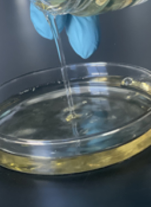 Galactomyces Ferment Filtrate (Glycol Free, Glycerin Free, Preservative Free)