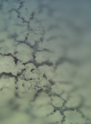 Fluoro-hydroxyapatite (Tooth Reminalization Active)