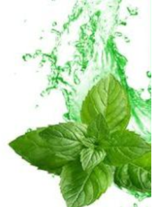 Cool Mint Awakening