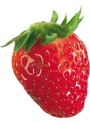 Strawberry Base (Economy)